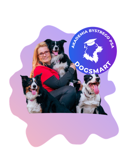 Pies podczas treningu nosework - wyszukiwanie zapachu